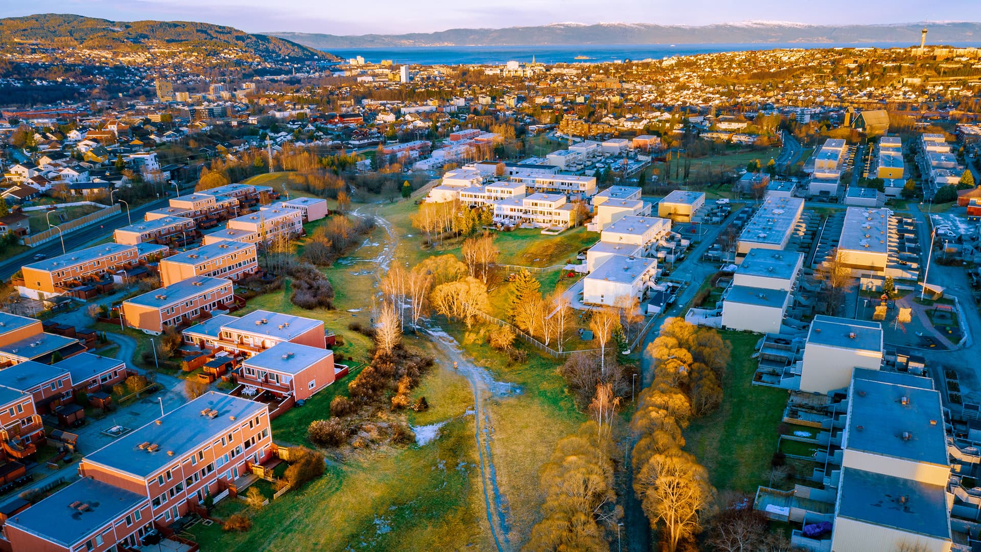 Luftfoto av et borettslag omgitt av grønne områder, trær og stier. I bakgrunnen ser man fjord og fjell under ettermiddagssolen.
