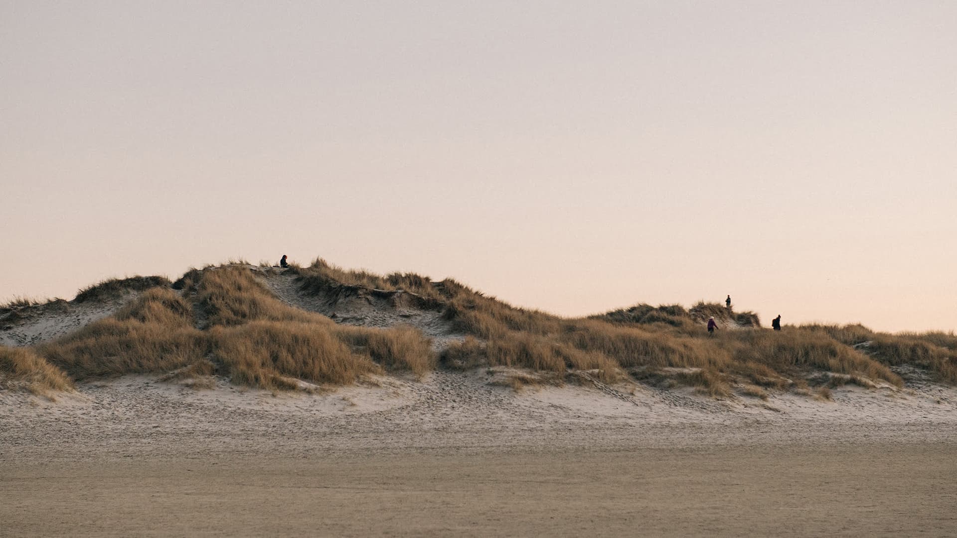Ett sandigt landskap med två kullar med brunt beiget långt gräs sträcker sid över bilden, himlen går i en ljust beige blå ton.