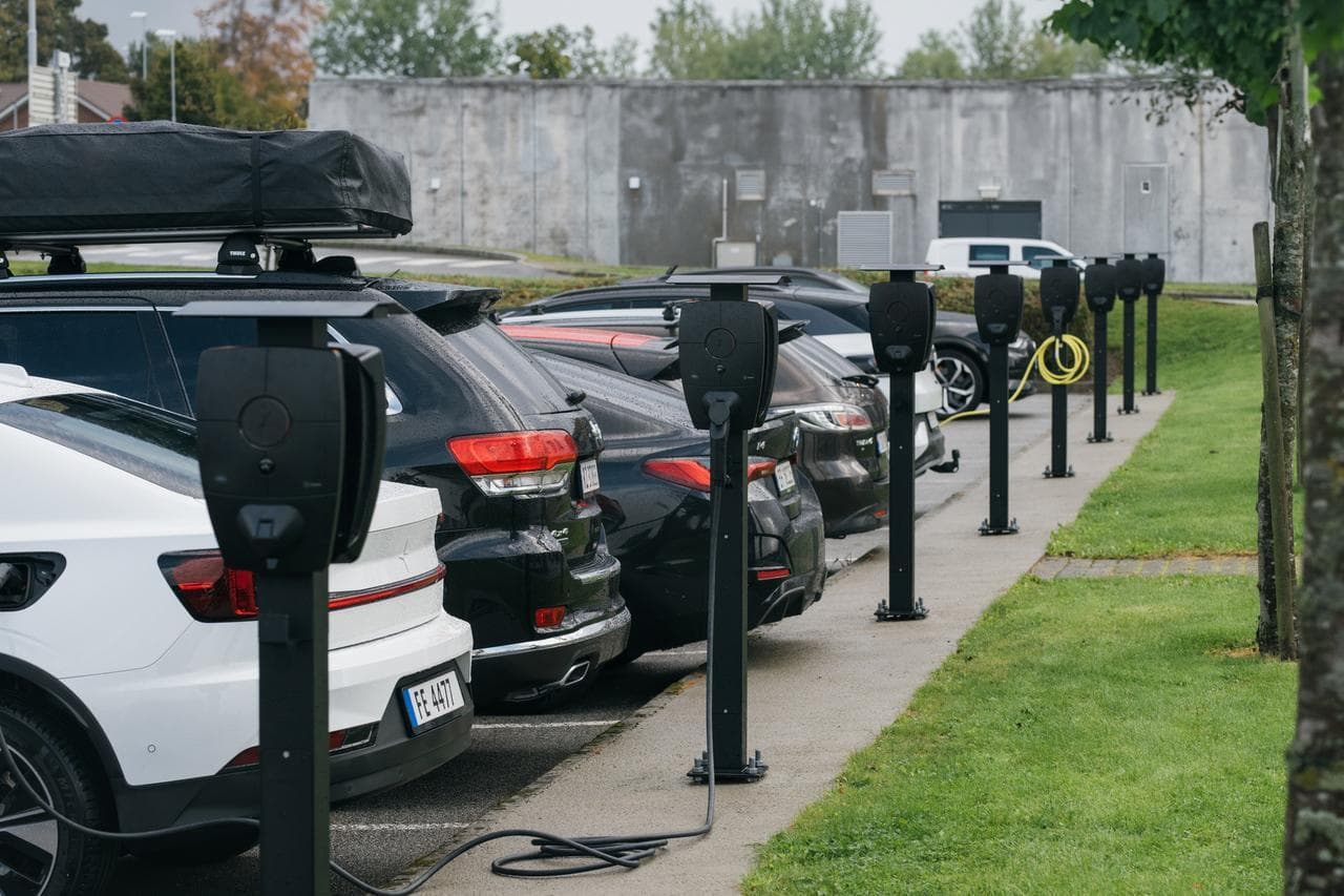 Flere elbiler står på rekke og lader med svarte Zaptec Pro ladestasjoner montert på svarte stolper langs en parkeringsplass med grønt gress og trær i nærheten.